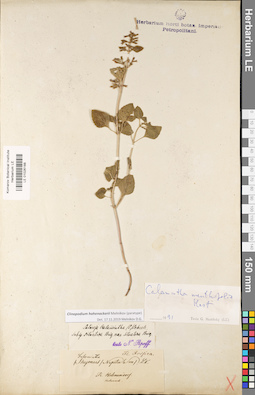 LE 01026188