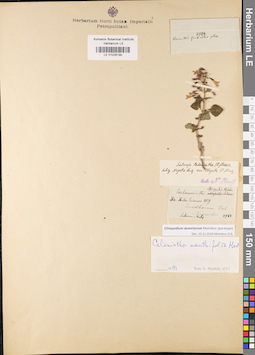 LE 01026190