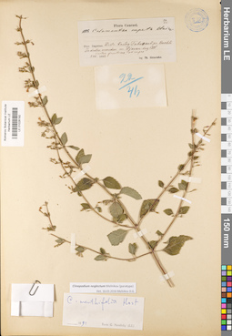 LE 01026192