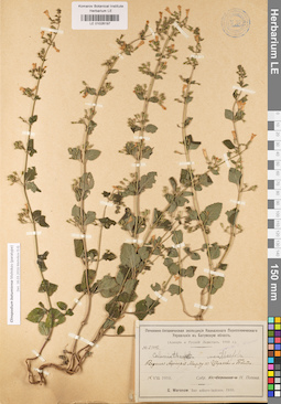 LE 01026197