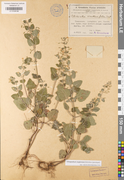 LE 01026198
