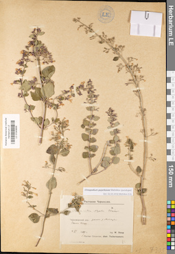 LE 01043635