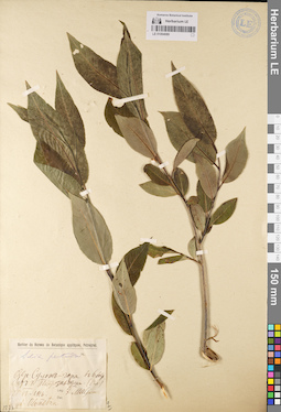 LE 01064089