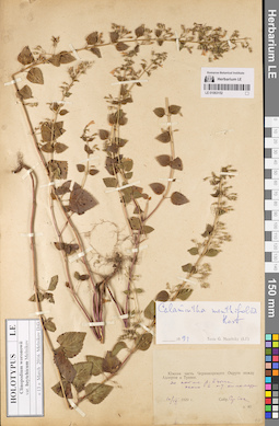 LE 01063152