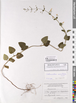 LE 01063158