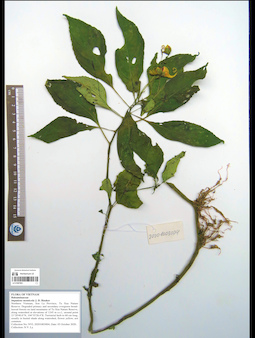 LE 01087903