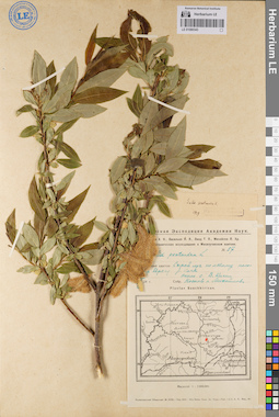 LE 01080343