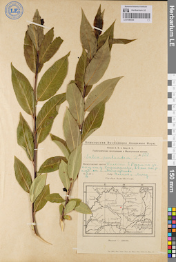 LE 01080344