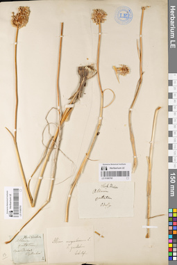 LE 01080761