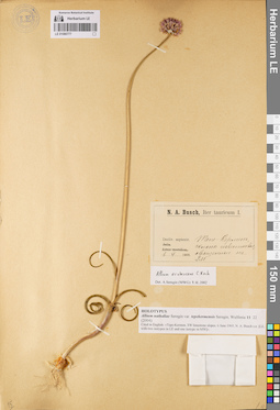LE 01080777