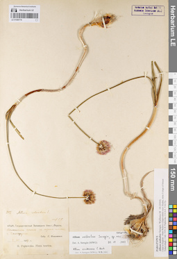 LE 01080778