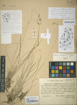 LE 01071962