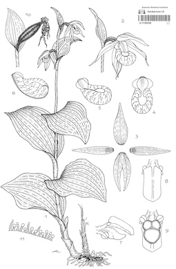 LE 01088369