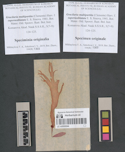 LE A0000044