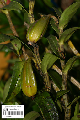 LE 01088490