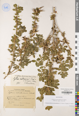 LE 01017901