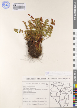 LE 01080830