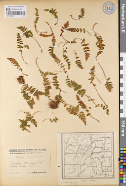 LE 01080885