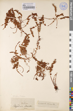 LE 01080900