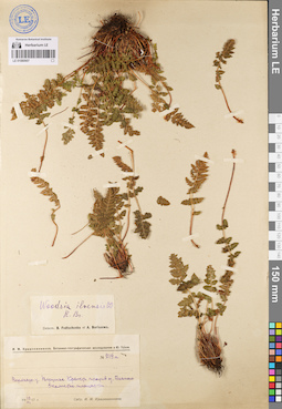LE 01080907