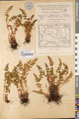 LE 01080915