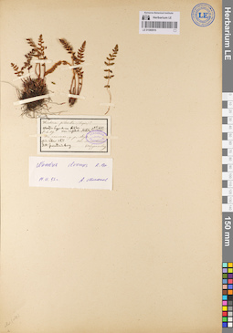 LE 01080916