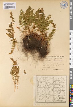 LE 01080923
