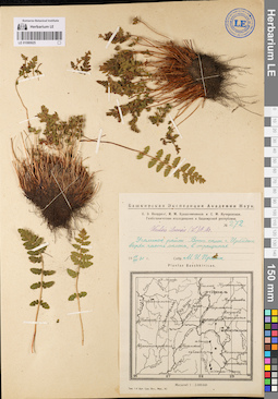 LE 01080925