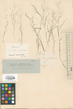 LE 00000687