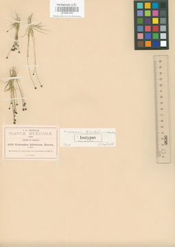 LE 00001044