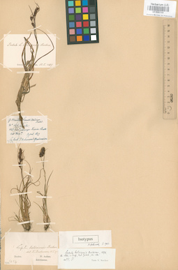 LE 00001192