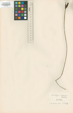 LE 00001280
