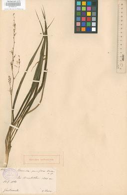 LE 00001311