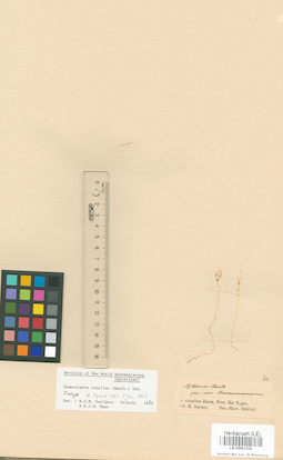 LE 00001354