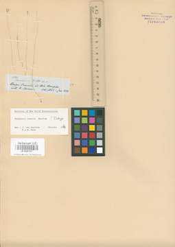 LE 00001357
