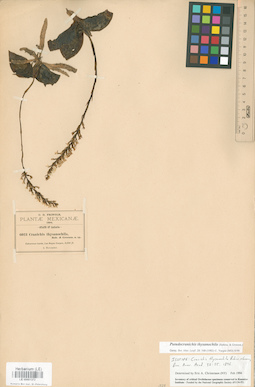LE 00001372