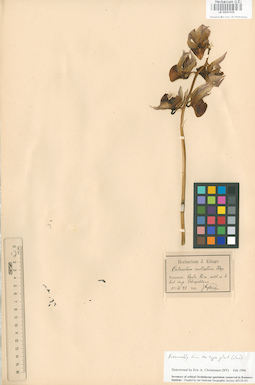LE 00001450