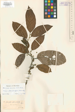 LE 00001561