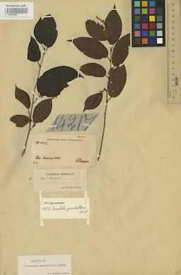 LE 00001665