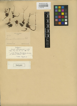 LE 00001906