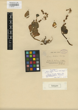 LE 00001907