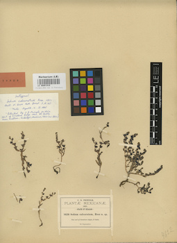 LE 00001910
