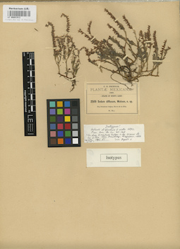 LE 00001912