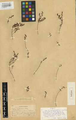 LE 00001917