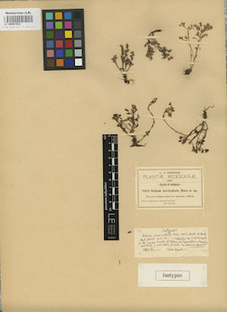 LE 00001918