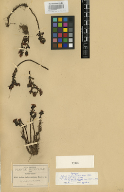 LE 00001922
