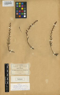 LE 00001926