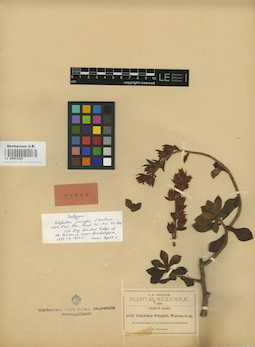 LE 00001928