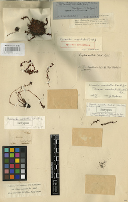 LE 00001931