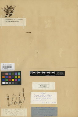LE 00001933